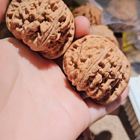 鸿***業文玩核桃吊坠46白狮子