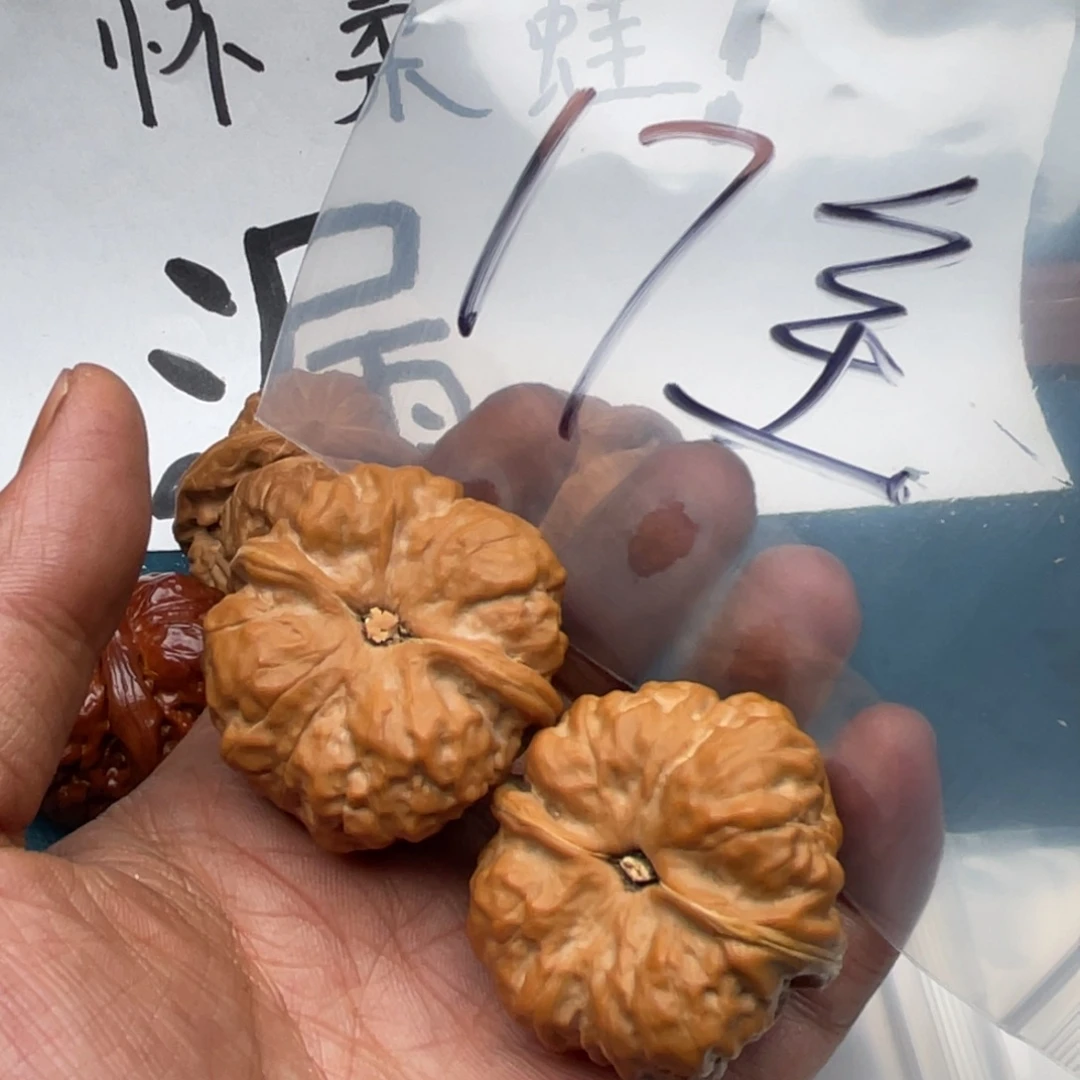 核桃W368639936649946946646