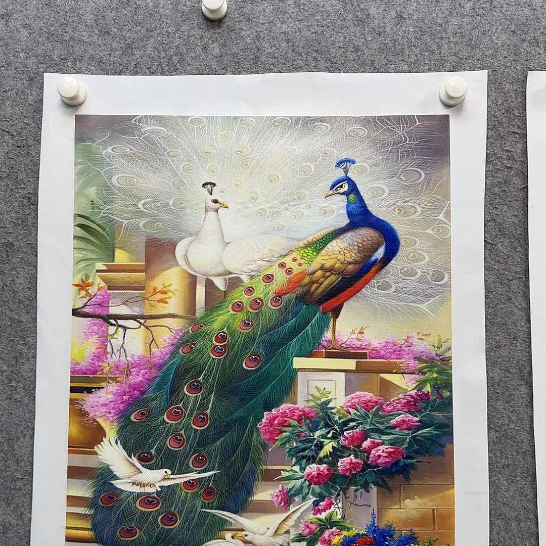 书法作品多次参加全国