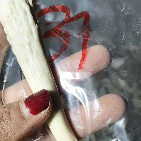 惠***馆大理石磁石鹿角鹿角鹿角鹿角鹿角鹿角