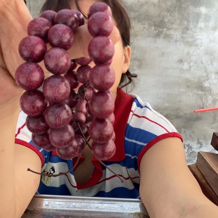 紫罗兰1.5哈哈哈哈哈哈