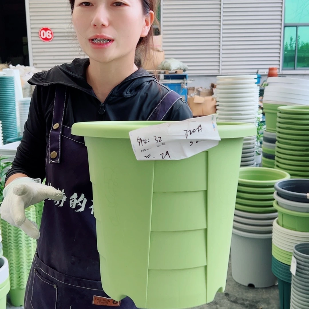 玫瑰盆320#果绿5个无托