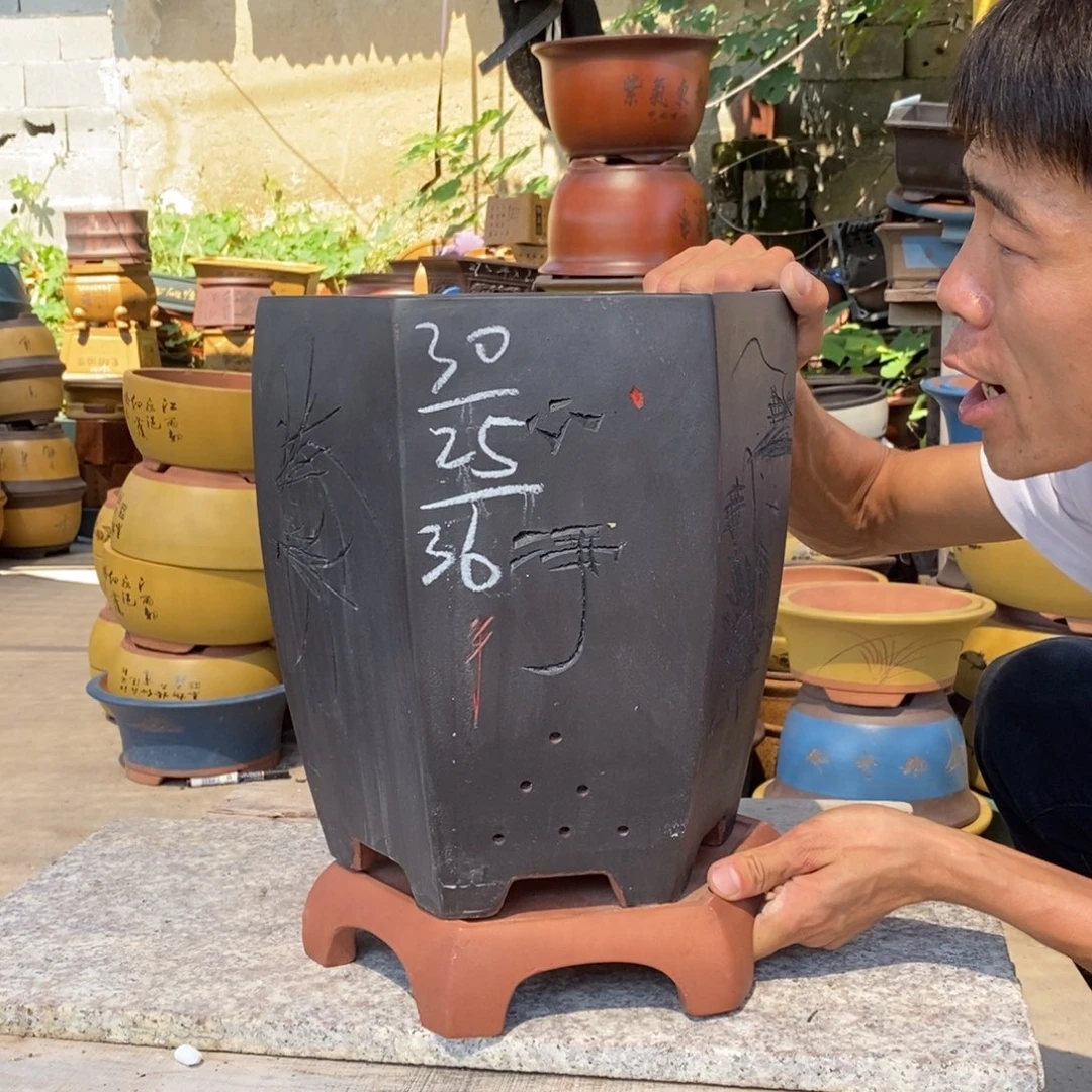 紫砂紫砂紫砂紫砂