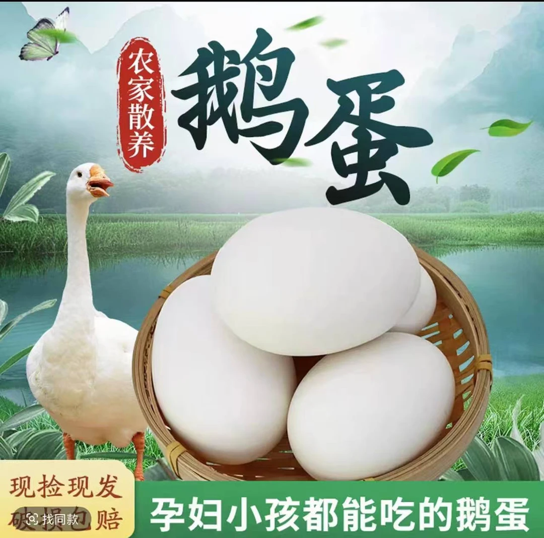【20枚】农家新鲜散养鹅蛋 现捡现发【破损包赔】