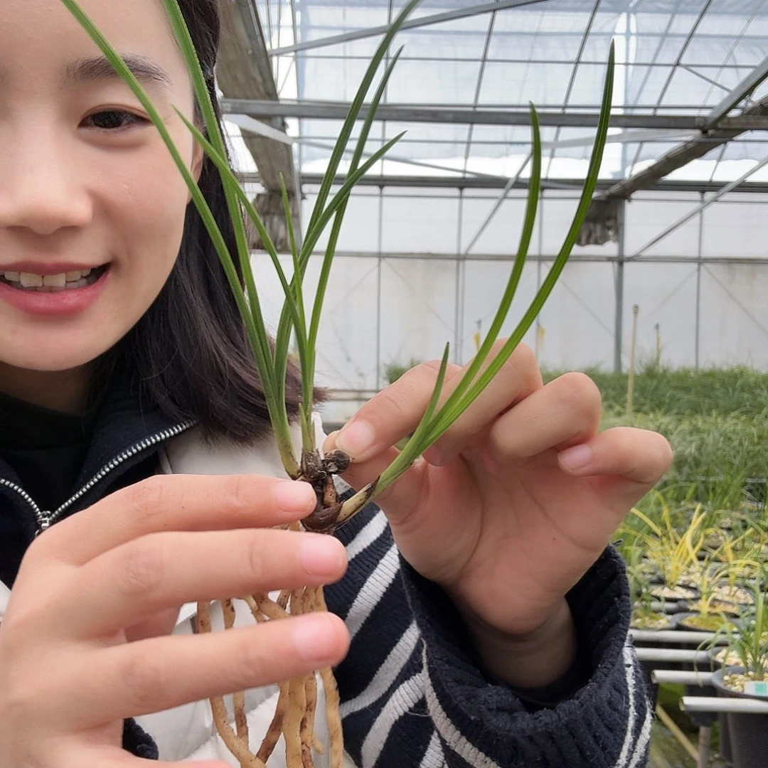 五***世完全开放1233456680099