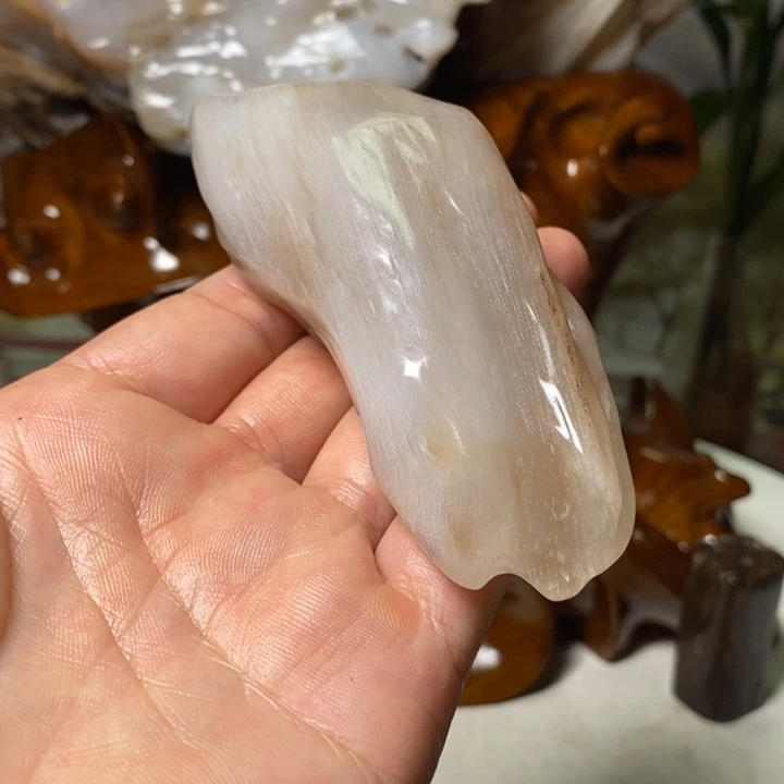 米***物石材家居摆件硅化木