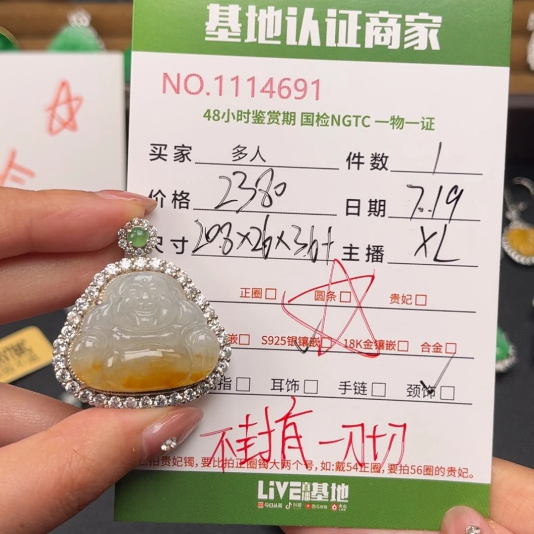 翡翠银S925镶嵌颈饰多人