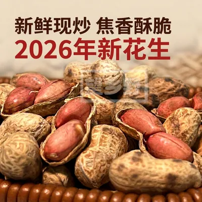 【试吃1斤】2026年新花生铁锅炒花生原味干炒小珍珠花生大铁