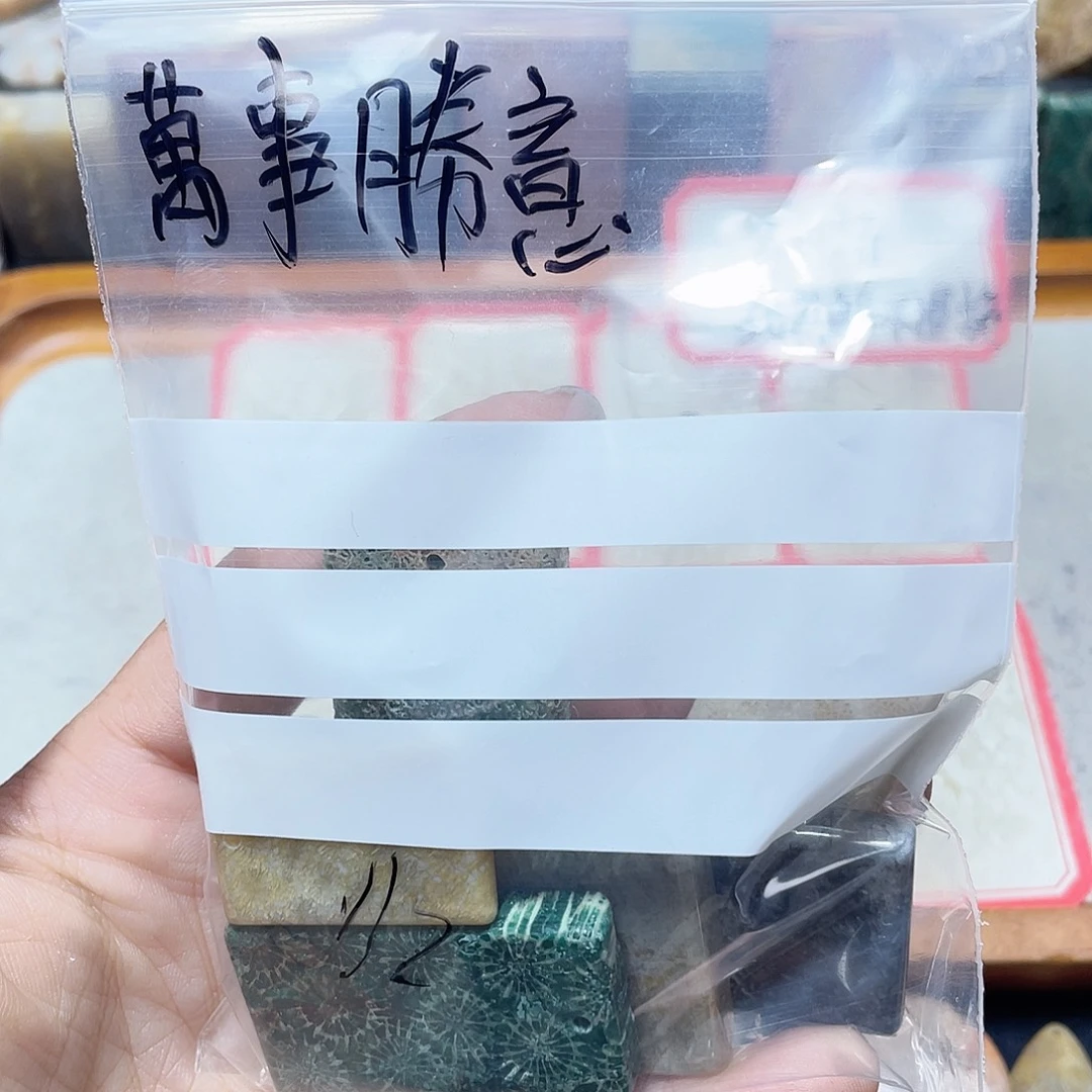 ****意硅化珊瑚（珊瑚玉）合金颈饰