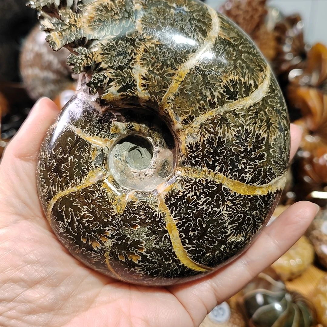 训***人有机玻璃123456789000