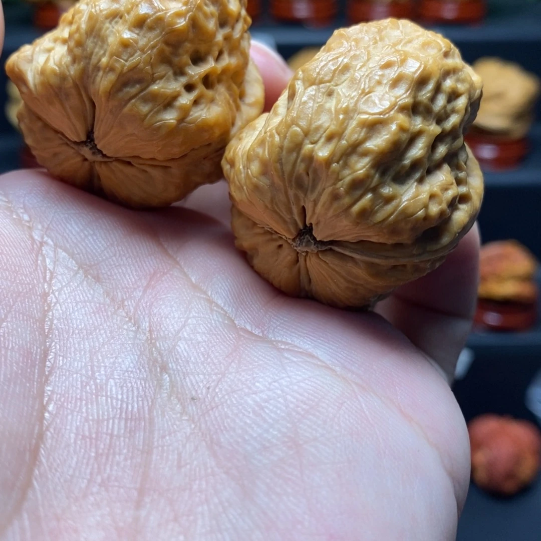 把件文玩核桃38龙脊妖蟾