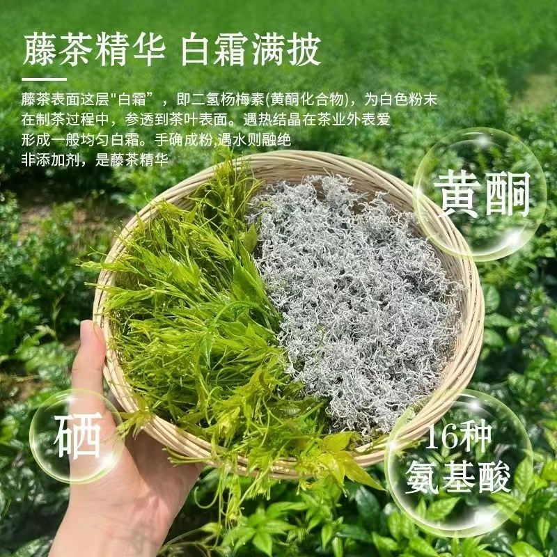 M2025年新茶 湘西张家界永顺特级龙须莓茶 养生藤茶 养颜雪茶