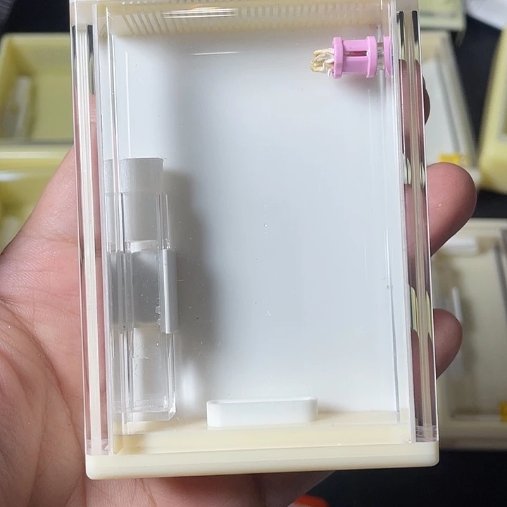 蟋蟀哈哈哈哈哈哈哈哈哈哈