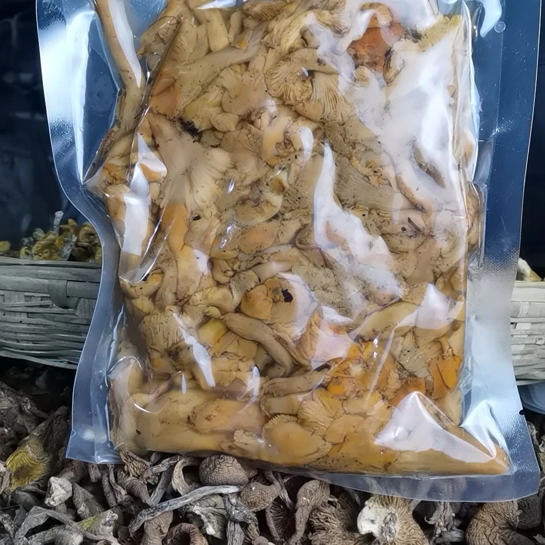 盐水鸡油菌500克中国大陆