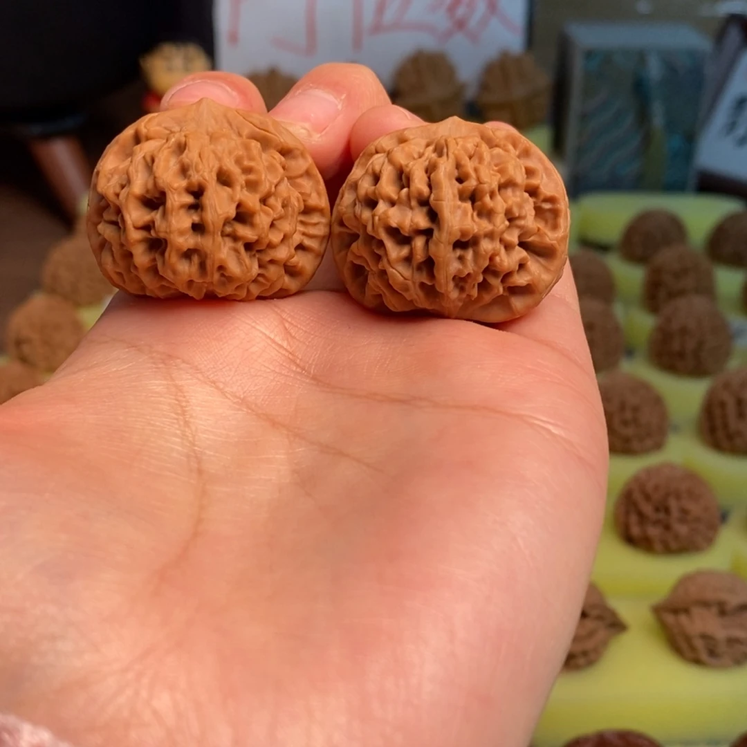 ****7核桃秦岭闷尖狮子头33