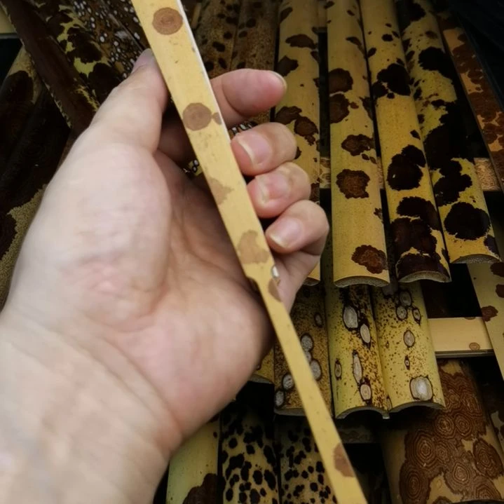 千***制扇子绿春大花扇子