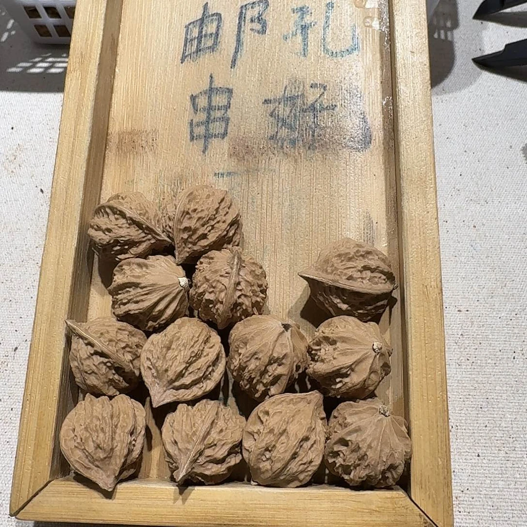 核桃手串/手链63号边23手串