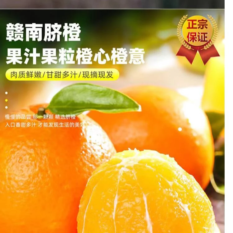 京东九省包邮现采现发橙子