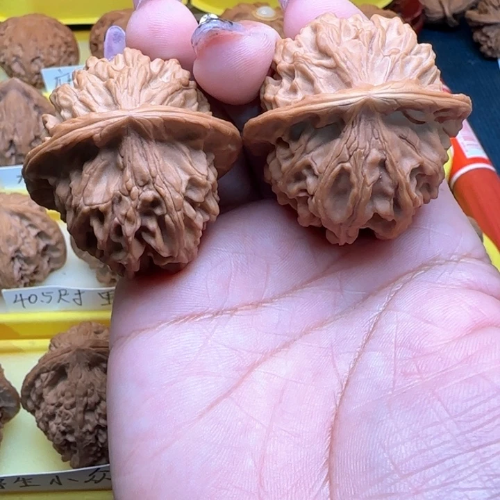 军*汪汪核桃天地二叶茂有瑕疵