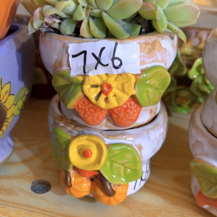 多肉花盆满15包邮，爱退款拉黑