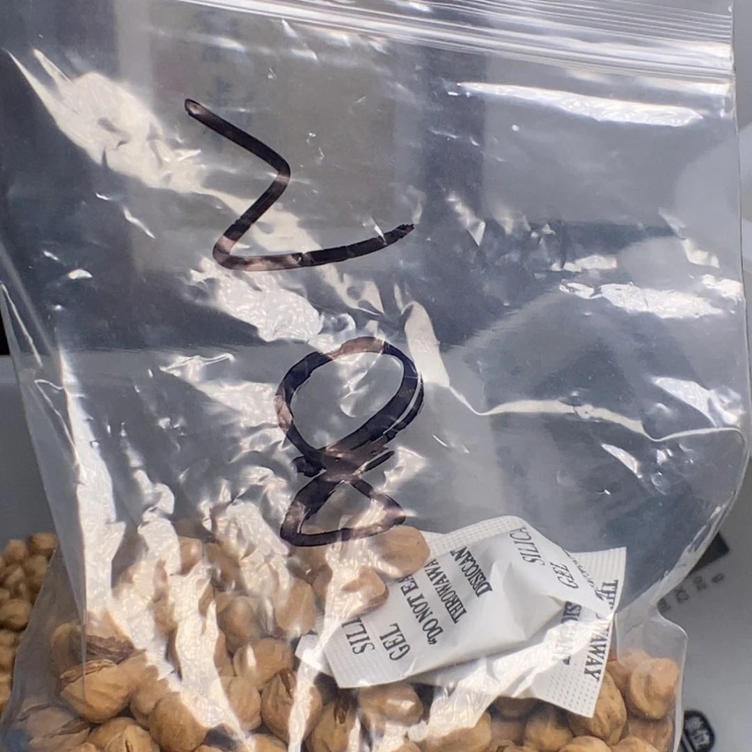 十***籽柏香籽/百香籽吊坠