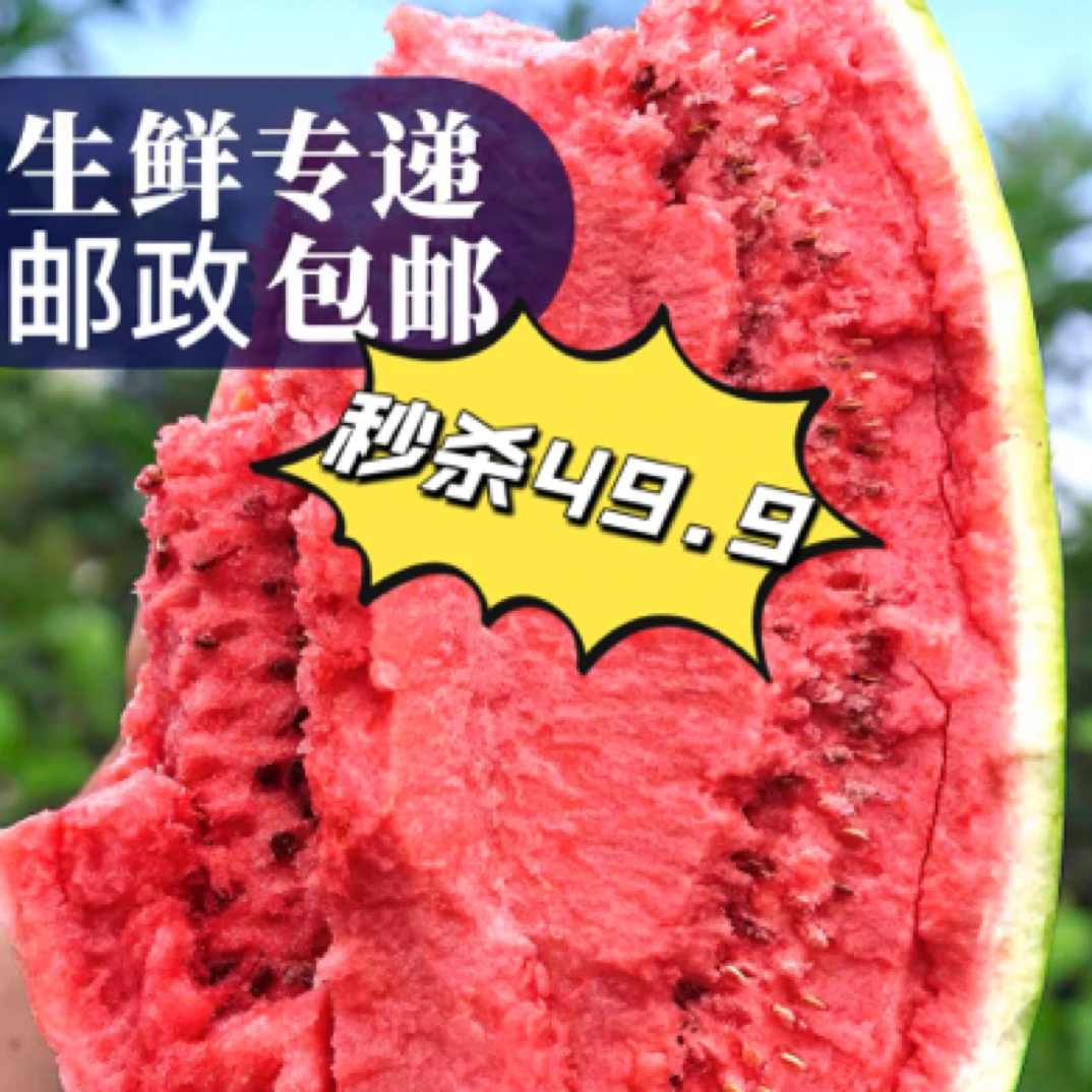 正宗宁夏中卫硒砂瓜水果新鲜当季原产地石头缝里长出的西瓜