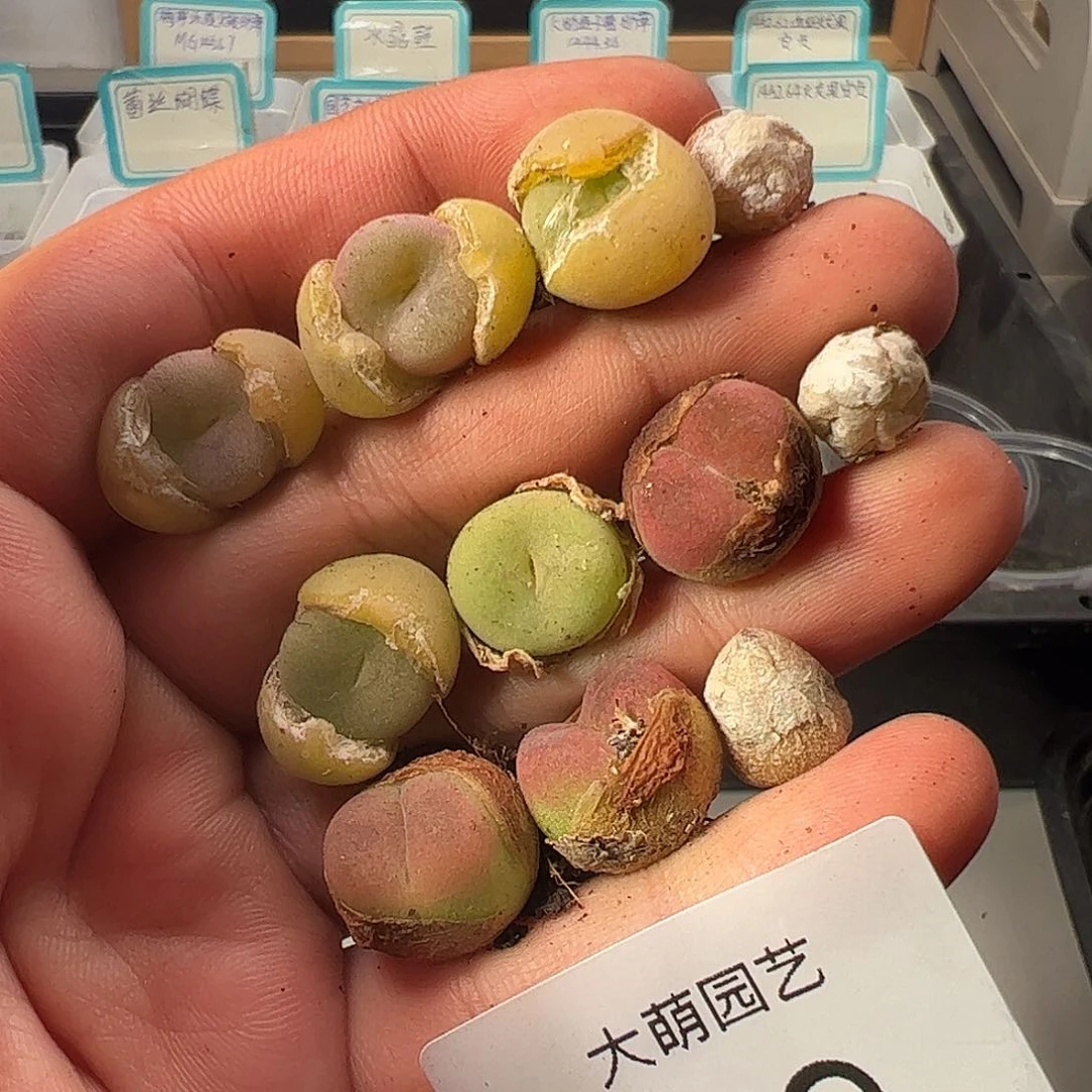 000059 一物一拍……