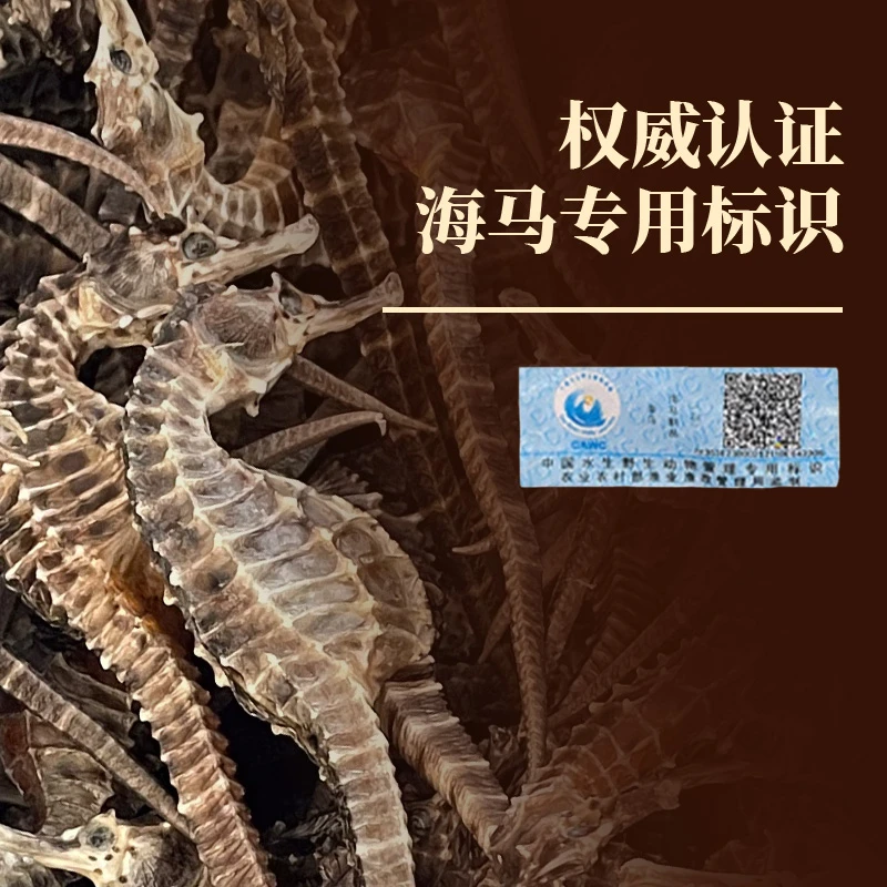 【福利】海货马可炖汤泡酒非野生滋补干货可溯源源头中马海马养殖