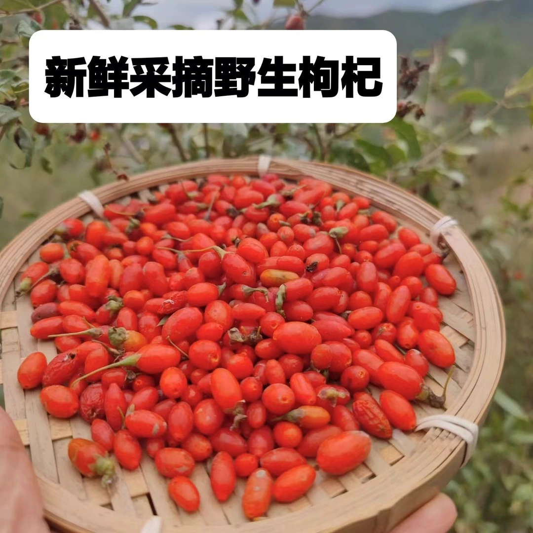 甘肃红枸杞无硫全干