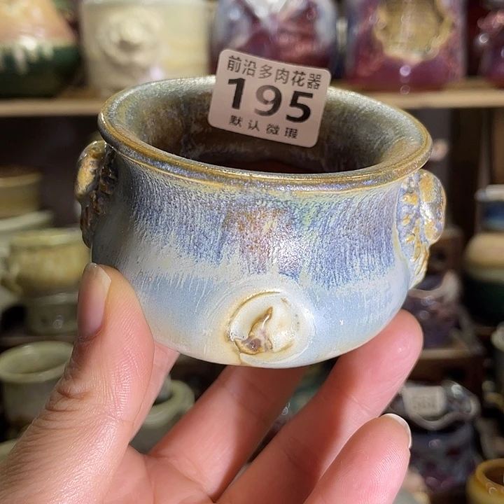 狼盆内口径5高度6