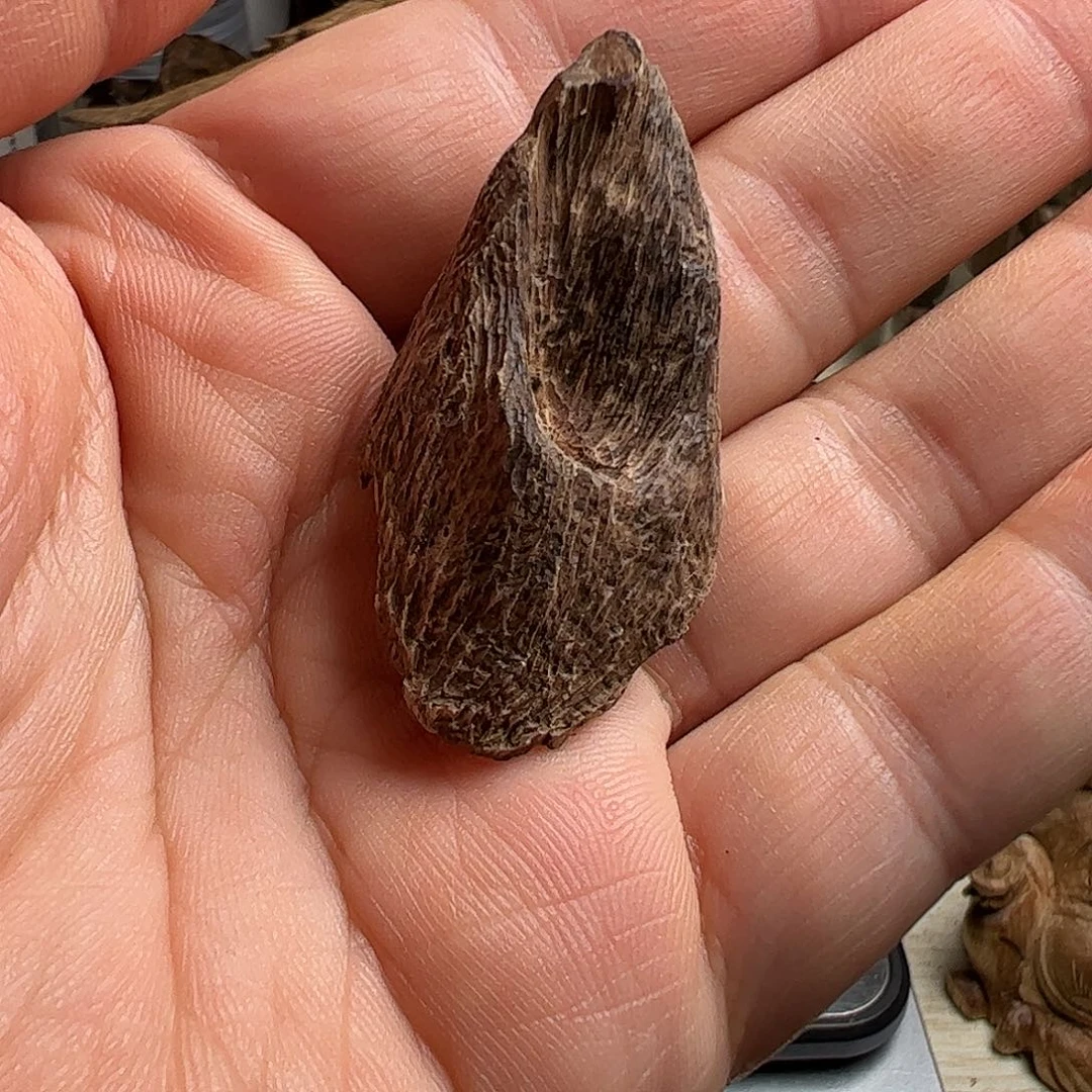 沉香沉香碎屑马泥涝沉水料2.6克