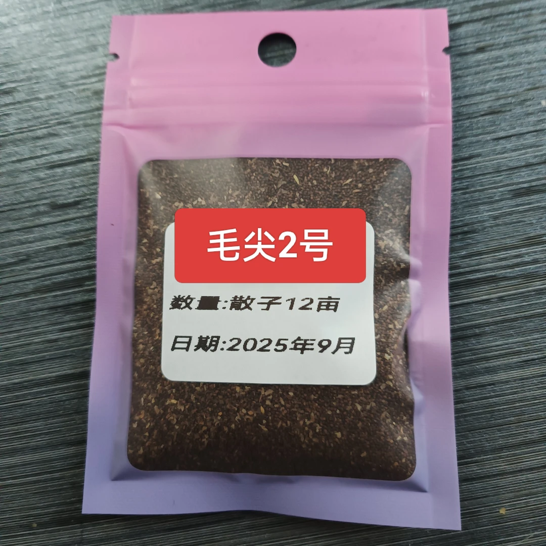 锯齿 高杆干八两 散子十亩的价  发货12～15亩