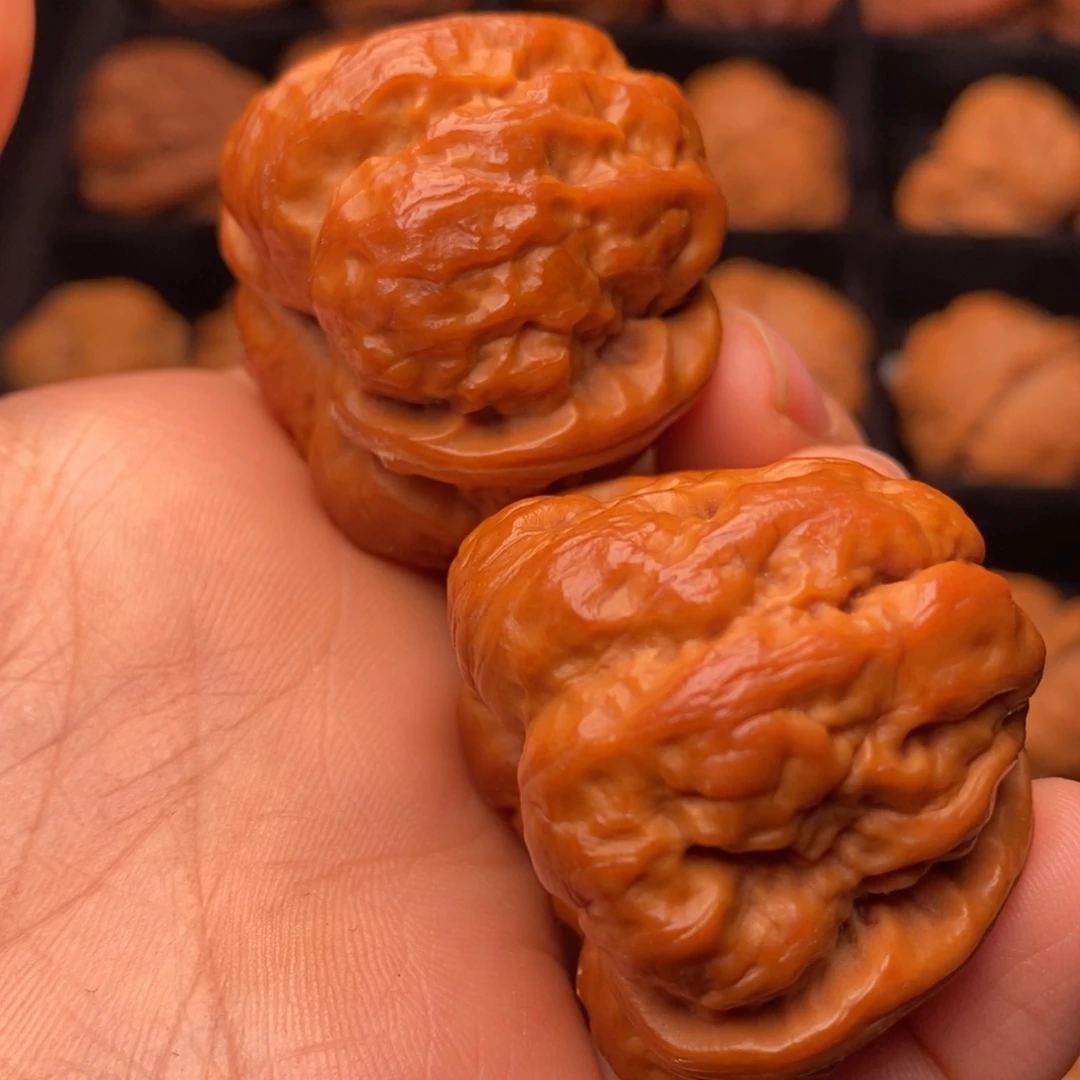 文玩核桃把件秦岭野生核桃