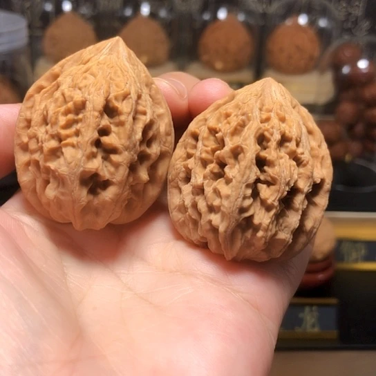 特价：大沽石（不退不换）