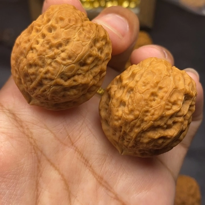 文玩核桃把件39尺蛇皮元宝