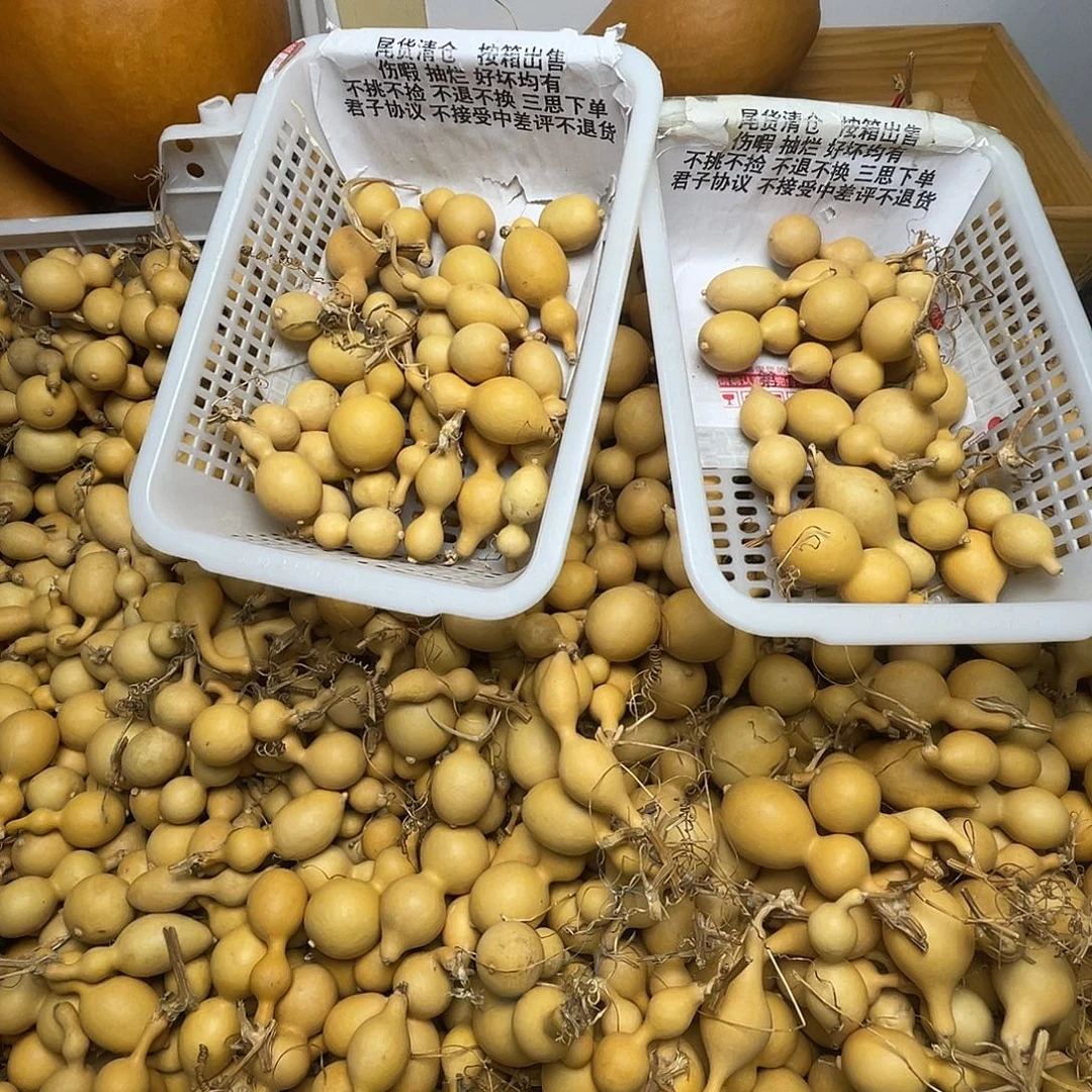 随机装箱不退不换好坏伤瑕断烂都有 无售后 三思下单