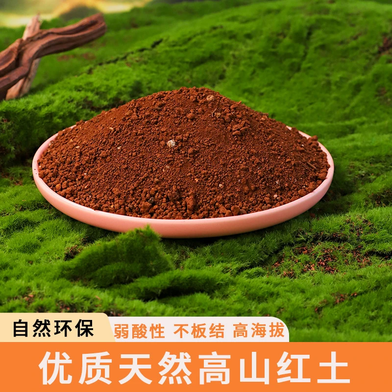 云南天然红土茉莉专用红泥土小颗粒营养土茶花桂花养龟兰花专用土