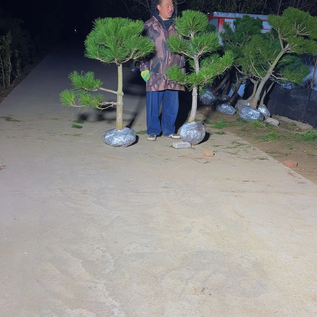 无花朵大***堂8888888888