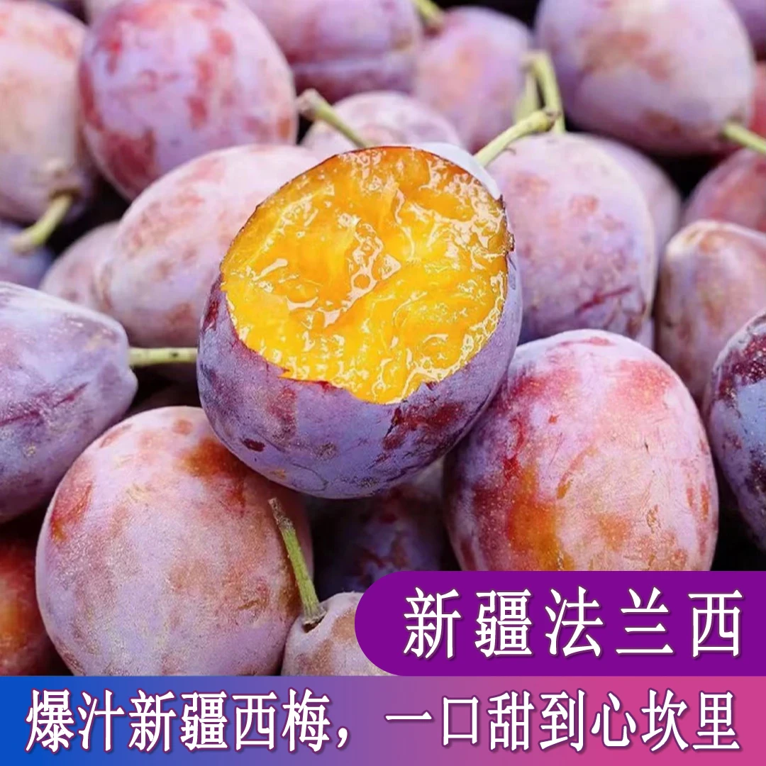 新鲜现摘新疆西梅现采现摘应季水果  皮薄汁多 【京东顺丰包邮】
