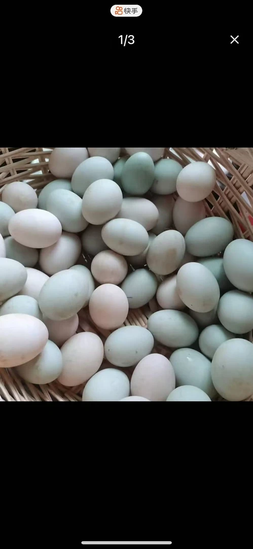 黑龙江省绥棱特产河套鸭蛋50枚营养美味（顺丰包邮）