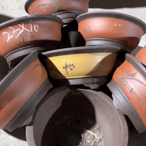 100-8。       23-10