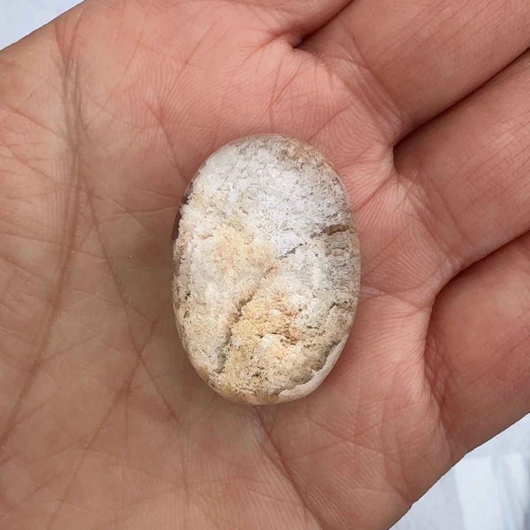 水晶颈饰未镶嵌西****鹰定制