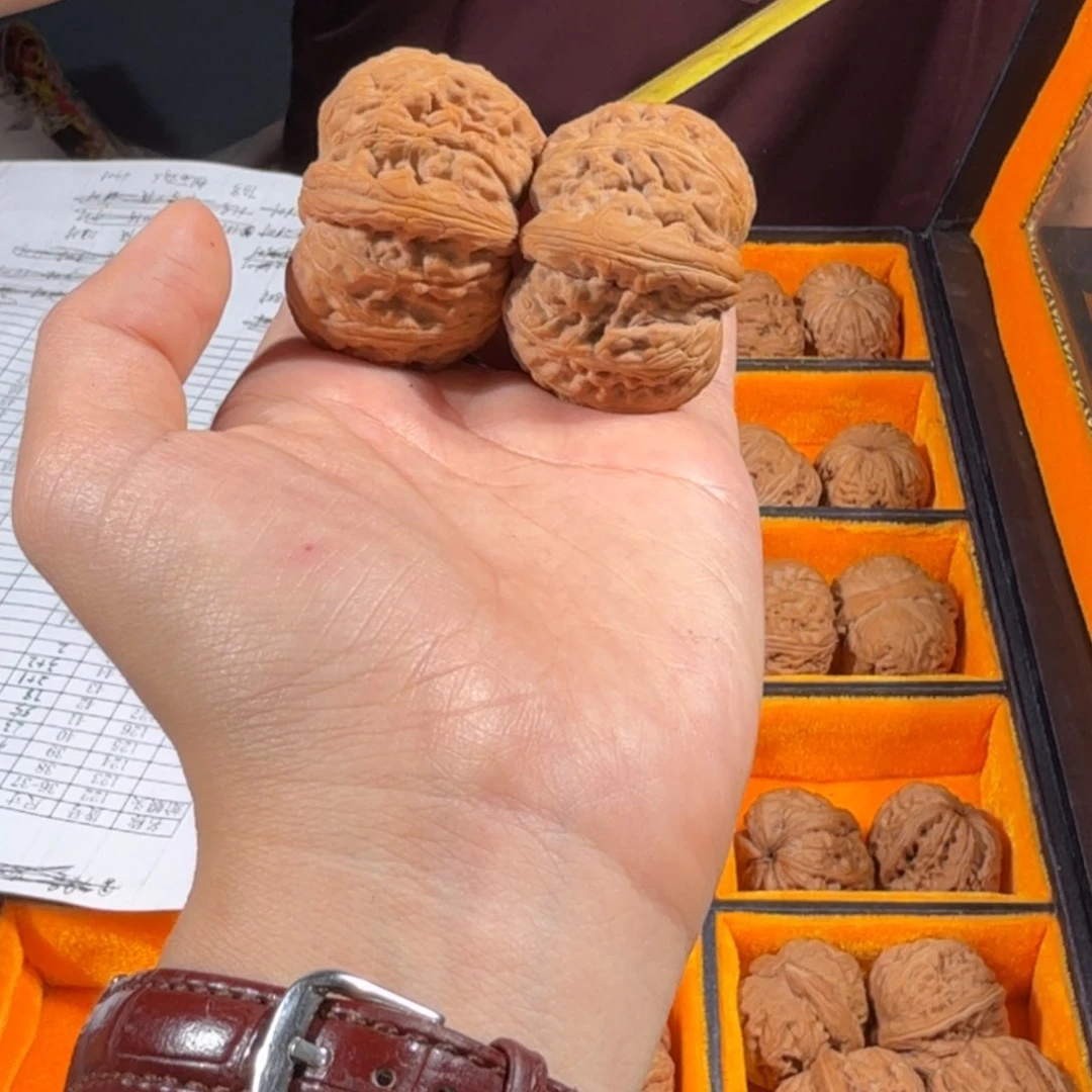 文玩核桃把件231号42mm平谷元宝