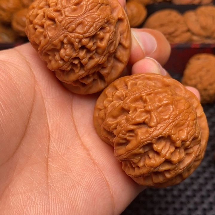 秦岭野生111111111111