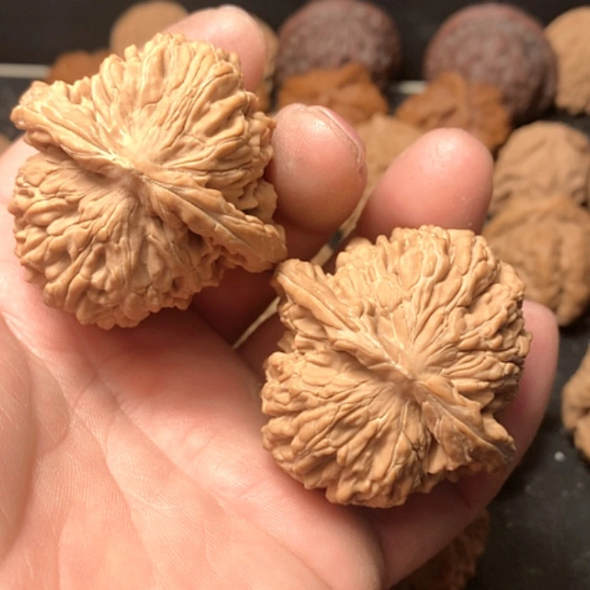 【闪购商品】用****2四座楼