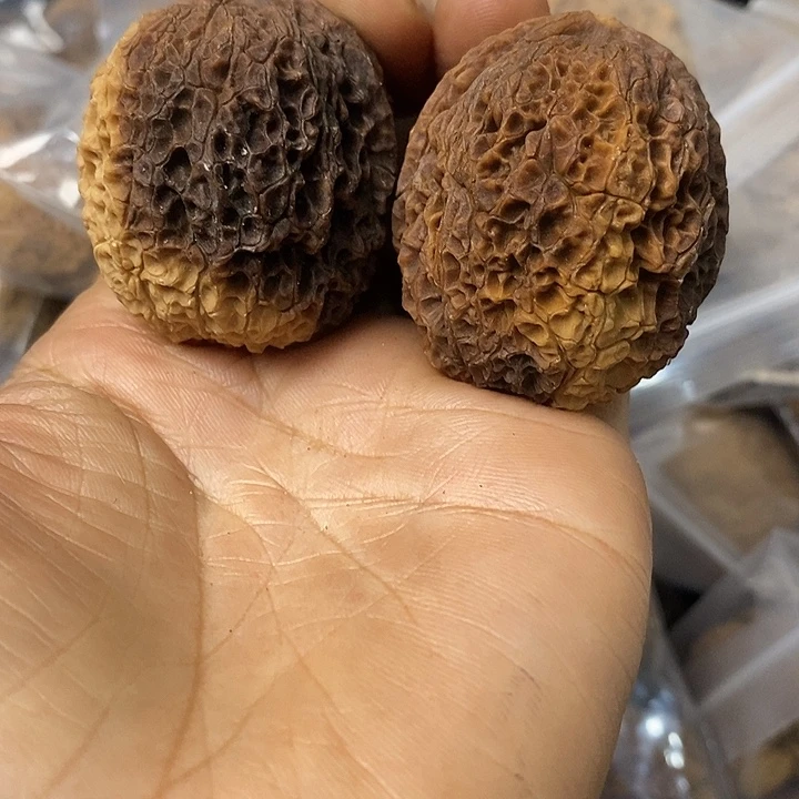 核桃云南铁核桃基地14