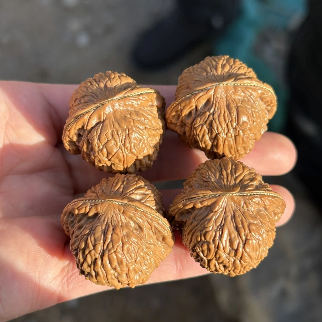 【曹掌柜精选】12  G01611-核桃泥鳅背-多样性发其一-35mm左右