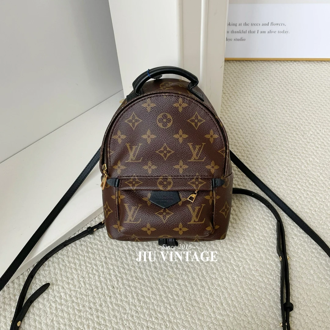 99新 LouisVuitton/路易威登 老花双肩包mini18年 BJM12-2213