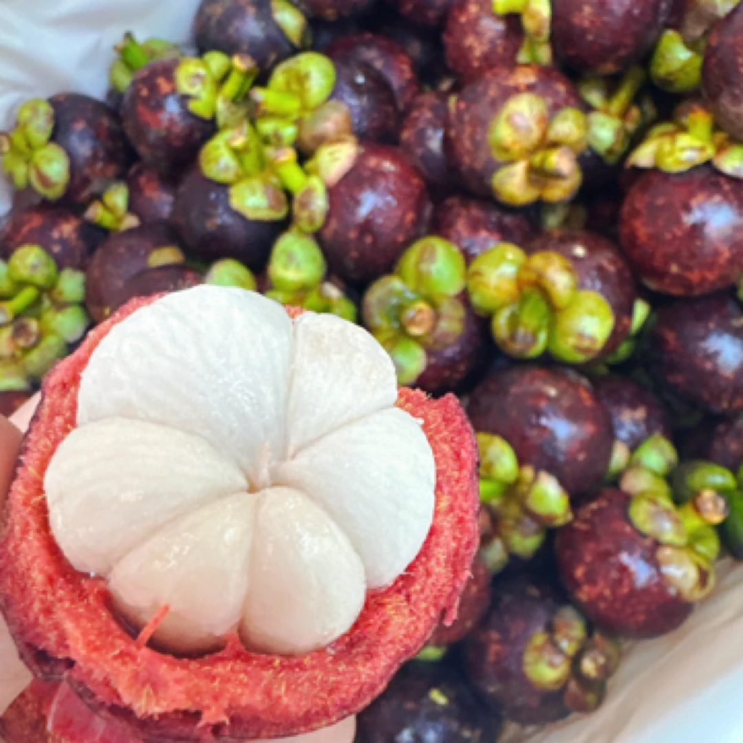 泰国老树3A山竹特别甜