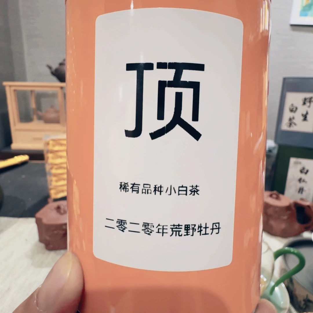 超顶小白茶荒野茶